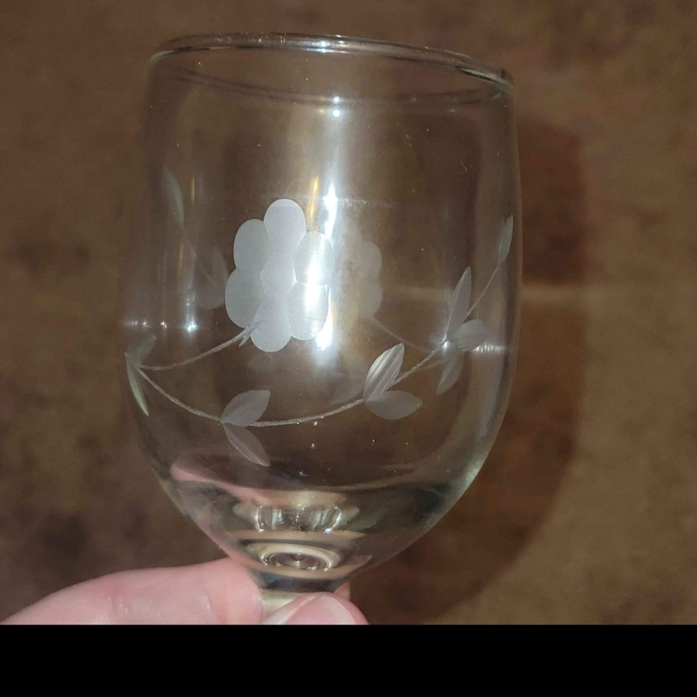 Princess House Wine Glasses